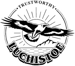 Свідоцтво торговельну марку № 70372 (заявка m200505917): luchistoe; trustworthy; trust worthy