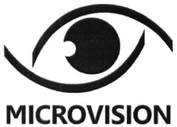 Заявка на торговельну марку № m201625411: microvision
