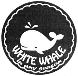 Свідоцтво торговельну марку № 309741 (заявка m201929911): white whale in any season