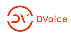 Заявка на торговельну марку № m202418429: dv dvoice