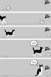 Заявка на торговельну марку № m202517332: без кота і гра не та!; felix; purina