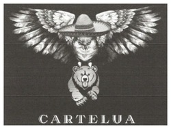 Свідоцтво торговельну марку № 348234 (заявка m202207983): cartelua