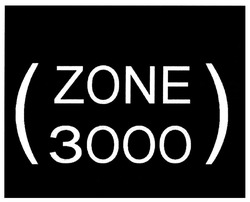 Свідоцтво торговельну марку № 314114 (заявка m202006297): 3000; zone; зооо