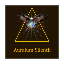 Заявка на торговельну марку № m202519705: auralum silentii