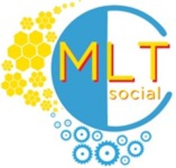 Свідоцтво торговельну марку № 285168 (заявка m201827059): cmlt social; с; c mlt social