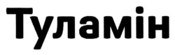 Заявка на торговельну марку № m202519476: туламін