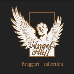 Свідоцтво торговельну марку № 291331 (заявка m201905043): angel's fluff; angels fluff; braggart collection