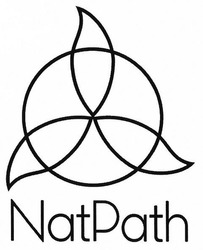 Свідоцтво торговельну марку № 280536 (заявка m201818264): natpath; nat path