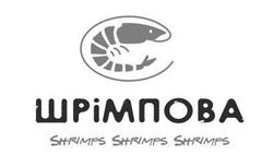 Заявка на торговельну марку № m202117009: shrimps; шрімпова
