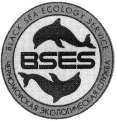 Заявка на торговельну марку № 99082947: bses