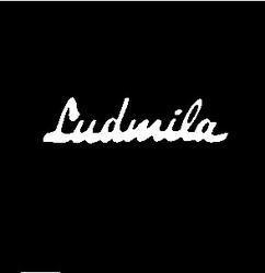 Заявка на торговельну марку № 94114104: ludmila