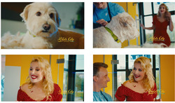 Заявка на торговельну марку № m202308033: slots city