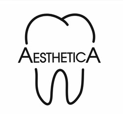 Заявка на торговельну марку № m202500153: aesthetica