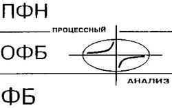 Заявка на торговельну марку № 94062335: пфн офб фб процессный анализ