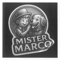 Заявка на торговельну марку № m202508743: mister marco
