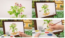 Заявка на торговельну марку № m202305998