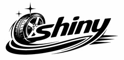 Заявка на торговельну марку № m202605153: shiny