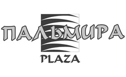 Свідоцтво торговельну марку № 184875 (заявка m201305710): пальмира; plaza