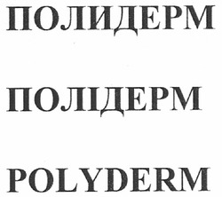 Заявка на торговельну марку № m201001369: полідерм; полидерм; polyderm