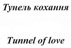 Заявка на торговельну марку № m201902995: tunnel of love; тунель кохання