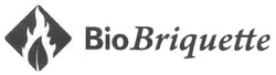 Свідоцтво торговельну марку № 122084 (заявка m200901654): bio briquette; віо