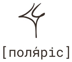 Заявка на торговельну марку № m202510183: поляріс
