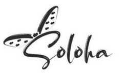 Заявка на торговельну марку № m202014296: soloha