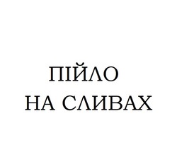 Заявка на торговельну марку № m202419783: пійло на сливах