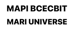 Заявка на торговельну марку № m202416046: марі всесвіт; mari universe