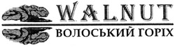 Свідоцтво торговельну марку № 195201 (заявка m201318396): walnut; волоський горіх