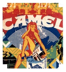Свідоцтво торговельну марку № 170915 (заявка m201300493): camel