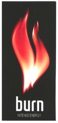 Свідоцтво торговельну марку № 87071 (заявка m200614322): burn; intense energy