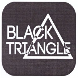 Заявка на торговельну марку № m202406532: black triangle