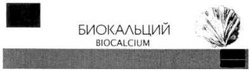 Заявка на торговельну марку № m201018057: biocalcium; биокальций