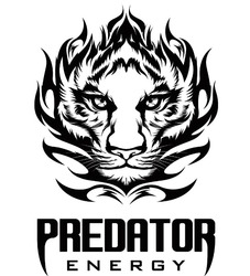Заявка на торговельну марку № m202518573: predator energy