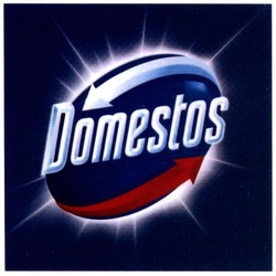 Заявка на торговельну марку № m201927387: domestos