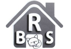 Свідоцтво торговельну марку № 230755 (заявка m201602849): brs