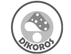 Заявка на торговельну марку № m202403919: dikoros