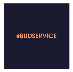 Заявка на торговельну марку № m202605591: #budservice