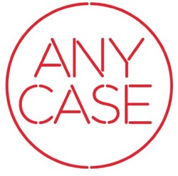 Свідоцтво торговельну марку № 298264 (заявка m201919564): any case