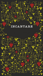 Заявка на торговельну марку № m202513208: incantare