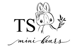 Свідоцтво торговельну марку № 316964 (заявка m202014074): mini bears; ts