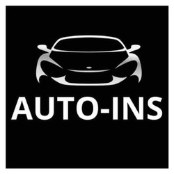 Заявка на торговельну марку № m202518997: auto ins; auto-ins