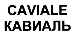 Свідоцтво торговельну марку № 191309 (заявка m201314618): кавиаль; caviale