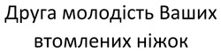 Заявка на торговельну марку № m202608987