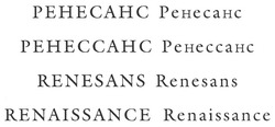 Свідоцтво торговельну марку № 103193 (заявка m200700477): ренесанс; ренессанс; renesans; renaissance