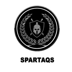 Заявка на торговельну марку № m202318639: spartaqs