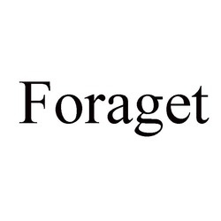 Свідоцтво торговельну марку № 310640 (заявка m201926936): foraget