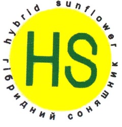 Свідоцтво торговельну марку № 122296 (заявка m200810992): hs; hybrid sunflower; гібридний соняшник