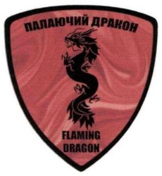 Заявка на торговельну марку № m202121274: flaming dragon; палаючий дракон